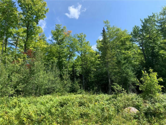 36+/- ACRES ON DYNAMITE ROAD, FIFIELD, WI 54524 - Image 1