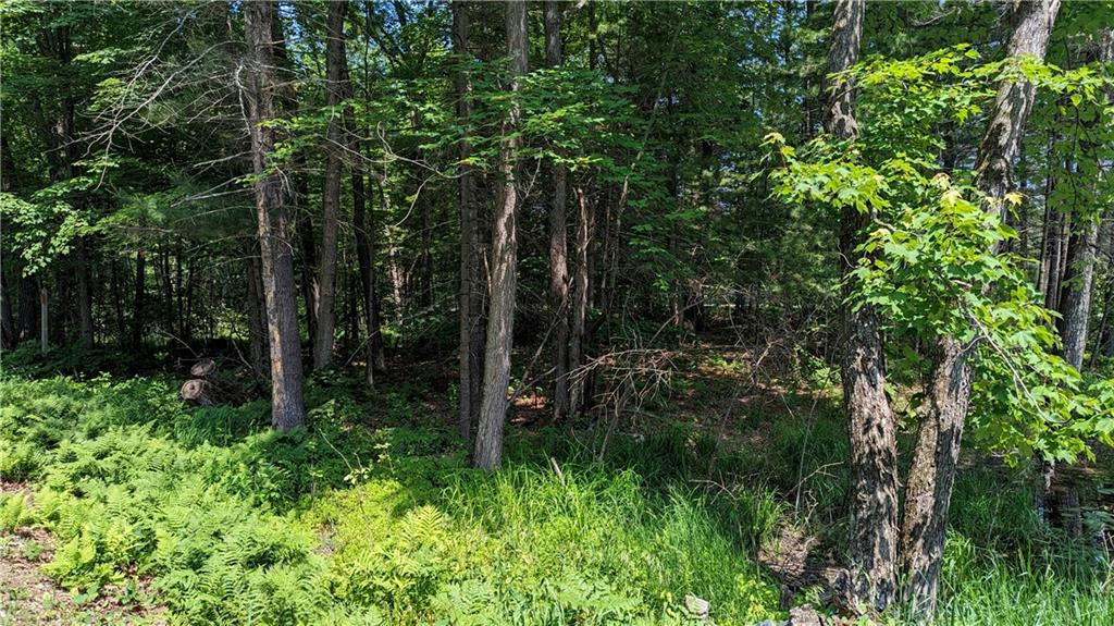 LOT 1 165TH AVE, BLOOMER, WI 54724, photo 1 of 10