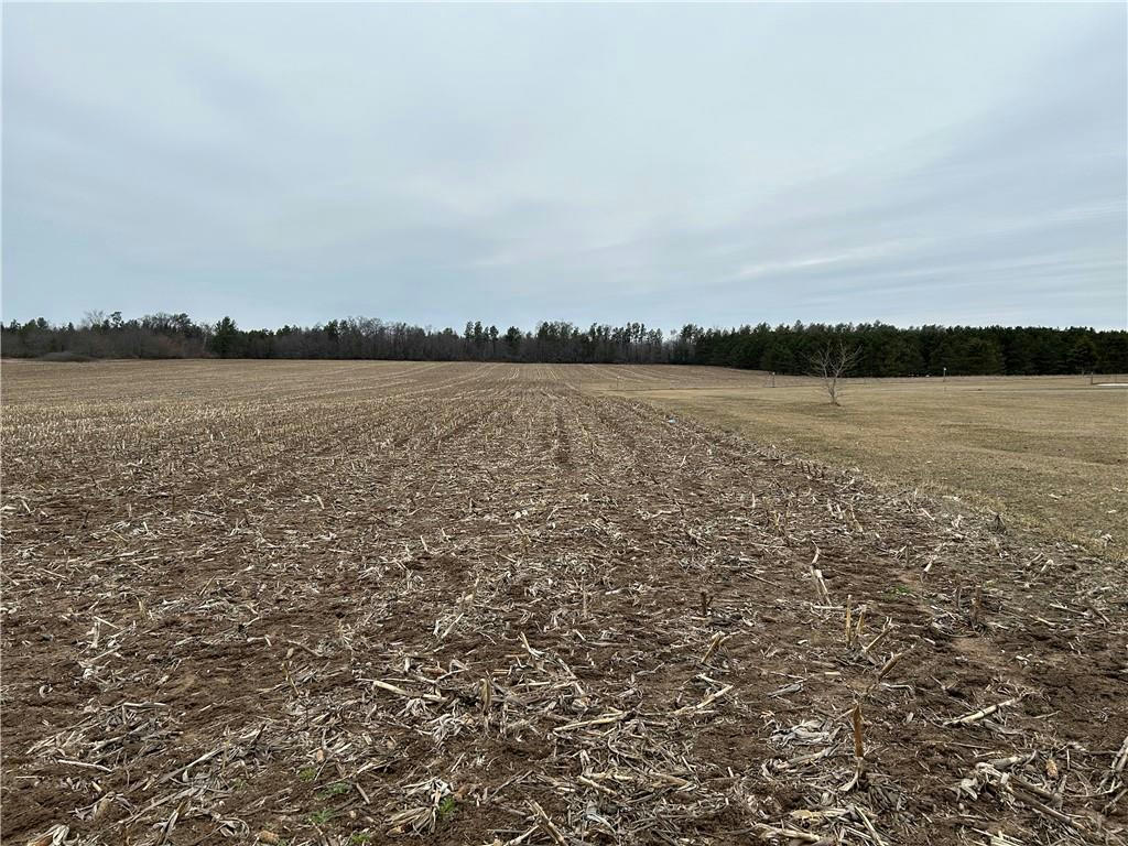22 ACRES 210TH STREET, CADOTT, WI 54727, photo 1 of 11