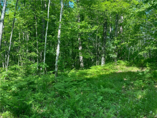 LOT 7 SECLUDED TRAIL, HAYWARD, WI 54843, photo 4 of 26
