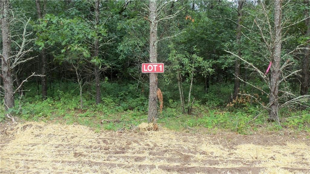 LOT 1 BUR OAK TRL, GRANTSBURG, WI 54840, photo 1 of 9