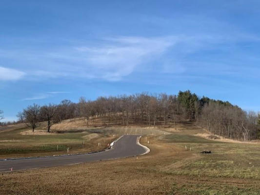 LOT 42 WILLOW COURT, INDEPENDENCE, WI 54747 - Image 1