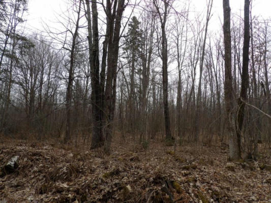 40+/- ACRES OFF WRIGHT ROAD, WINTER, WI 54896, photo 3 of 16