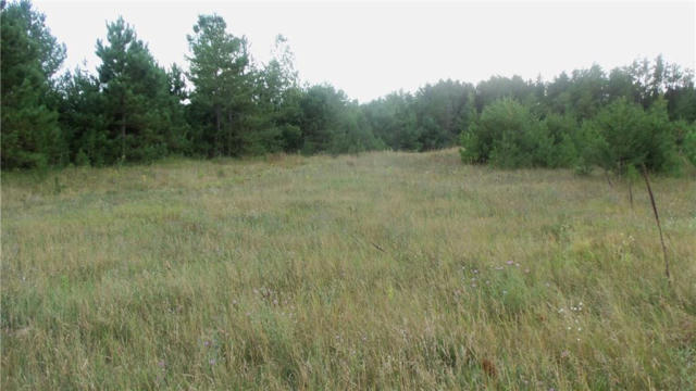 LOT 2 HIGH RIDGE TRL, WEBSTER, WI 54893, photo 4 of 5