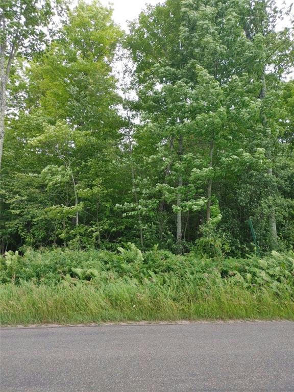 LOT 8 PENINSULA ROAD, HAYWARD, WI 54843, photo 1 of 2