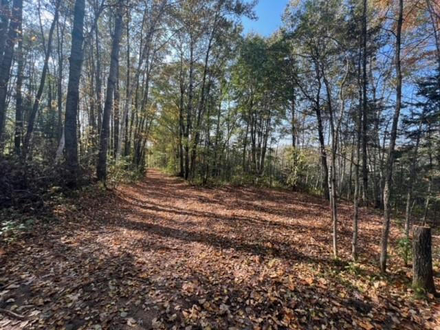 LOT 1 HWY 64, CORNELL, WI 54732, photo 1 of 10