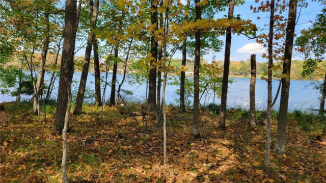 LOT 11 INDIAN POINT ROAD, CHETEK, WI 54728, photo 2 of 18