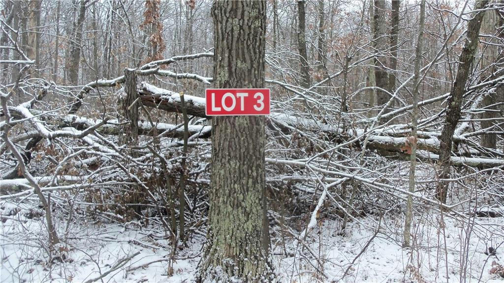 LOT 3 BLACKBERRY RD, TREGO, WI 54888, photo 1 of 7