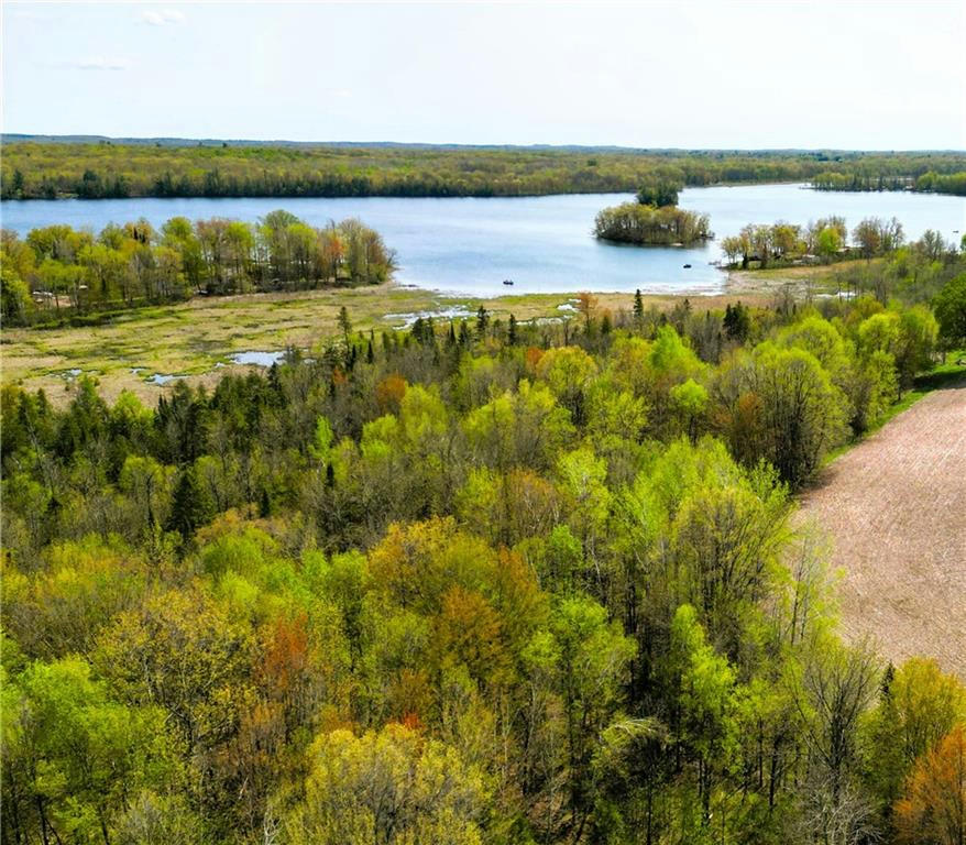 22 ACRES ON WILLY RD, WEYERHAEUSER, WI 54895, photo 1 of 25