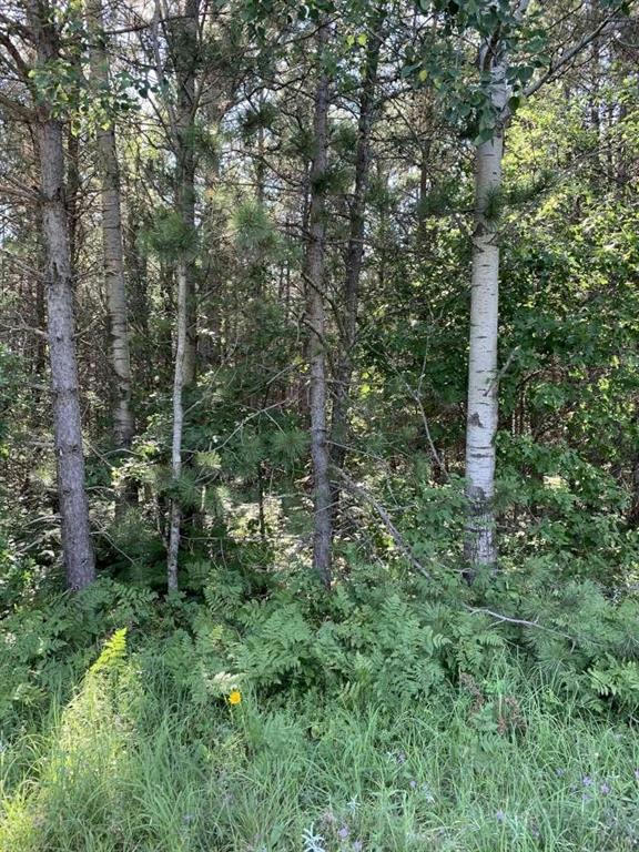 NEAR SEVEN MILE ROAD, HERBSTER, WI 54844, photo 1