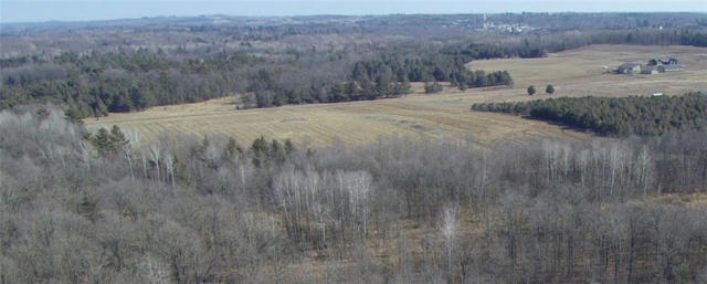 0 MARG ROAD - 24 ACRES, NEILLSVILLE, WI 54456 - Image 1
