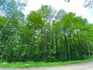 LOT 3 KERRY DRIVE, BIRCHWOOD, WI 54817 - Image 1