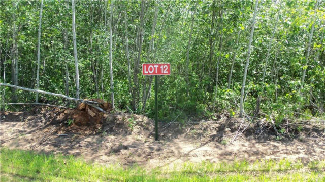 LOT 12 RED MAPLE LN, SIREN, WI 54872 - Image 1