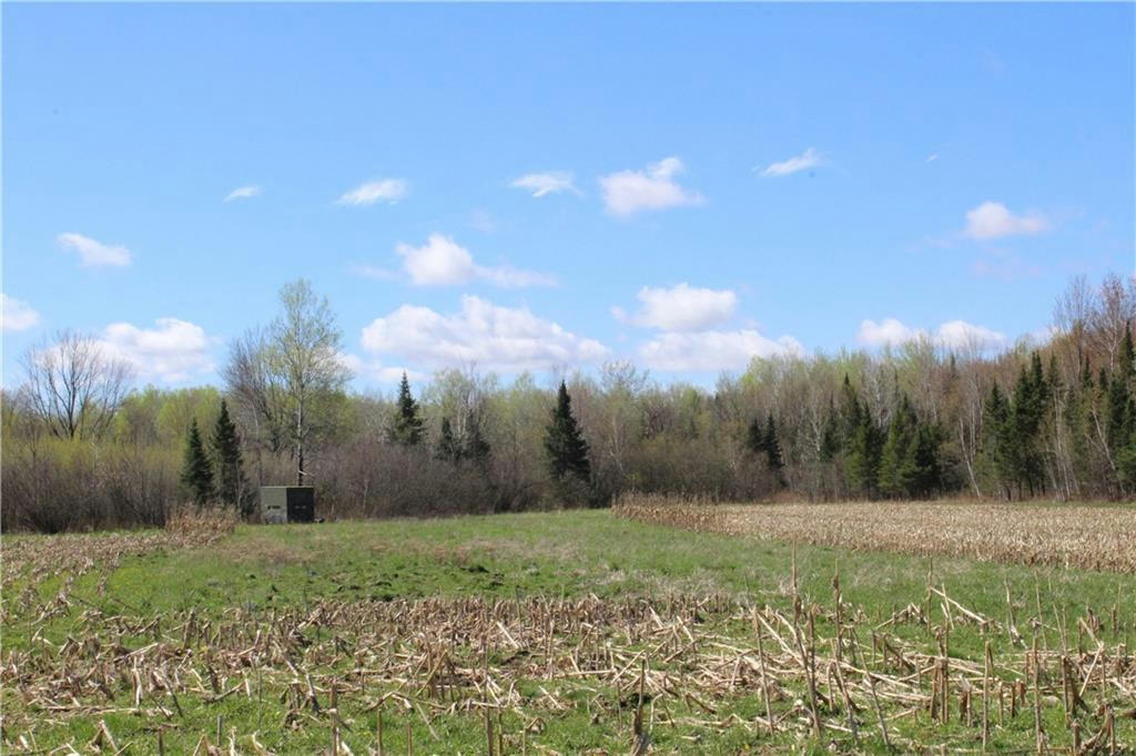 0 COUNTY RD. M - 32 ACRES, OGEMA, WI 54459, photo 1 of 22