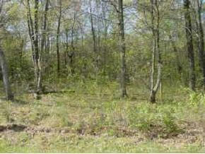 LOT 2 9TH AVE, CHETEK, WI 54728, photo 1