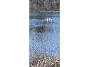 LOT 4 XXX COUNTY ROAD D, CLAYTON, WI 54004, photo 5 of 6