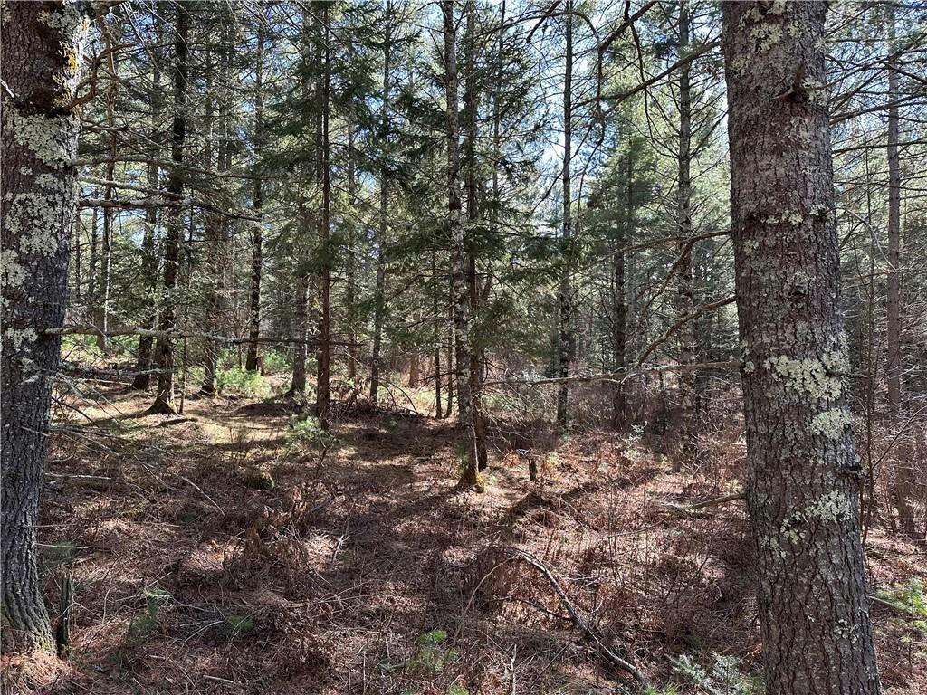 LOT 3 KAVANAUGH ROAD, CABLE, WI 54821, photo 1 of 25