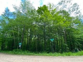 LOT 1 KERRY DRIVE, BIRCHWOOD, WI 54817 - Image 1