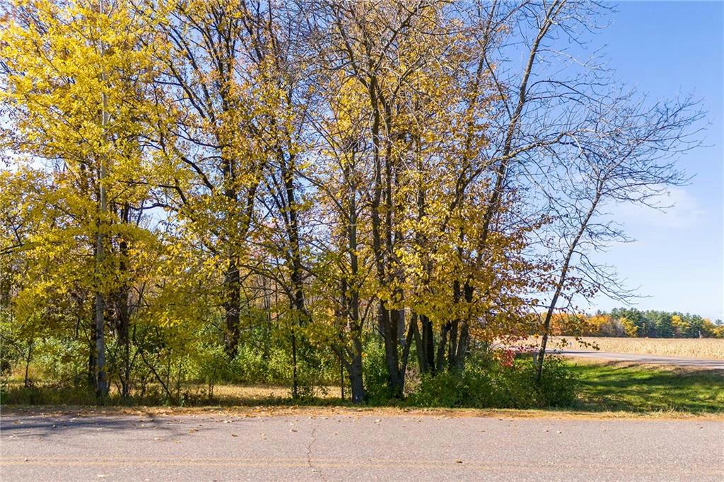 LOT 1 EAST ST, NEW AUBURN, WI 54757, photo 1 of 11