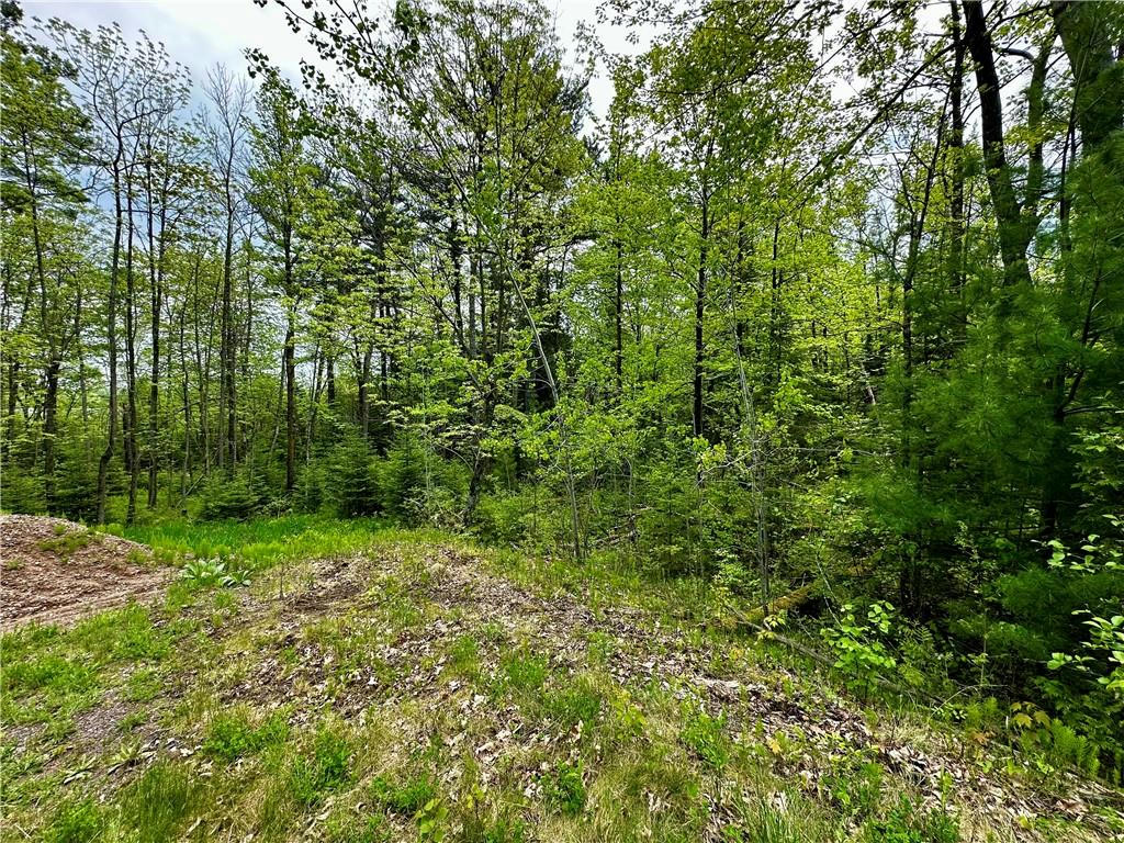 15433 STATE HIGHWAY 178, JIM FALLS, WI 54748, photo 1 of 11