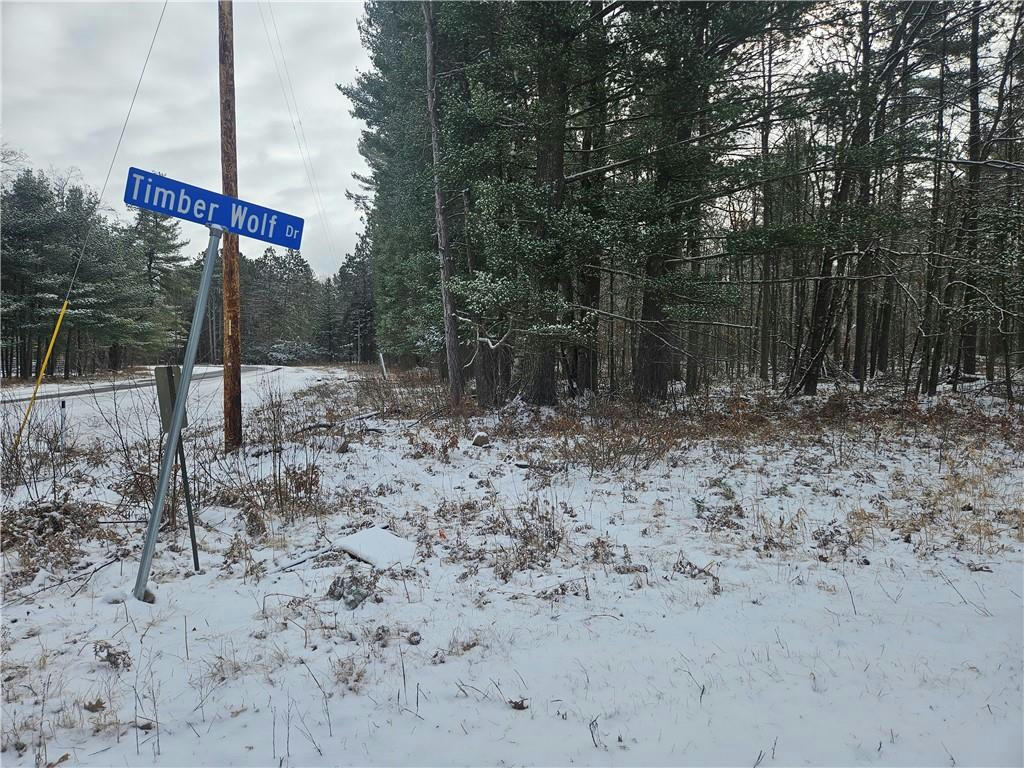 LOT 0 COUNTY HWY E, SPRINGBROOK, WI 54875, photo 1 of 15