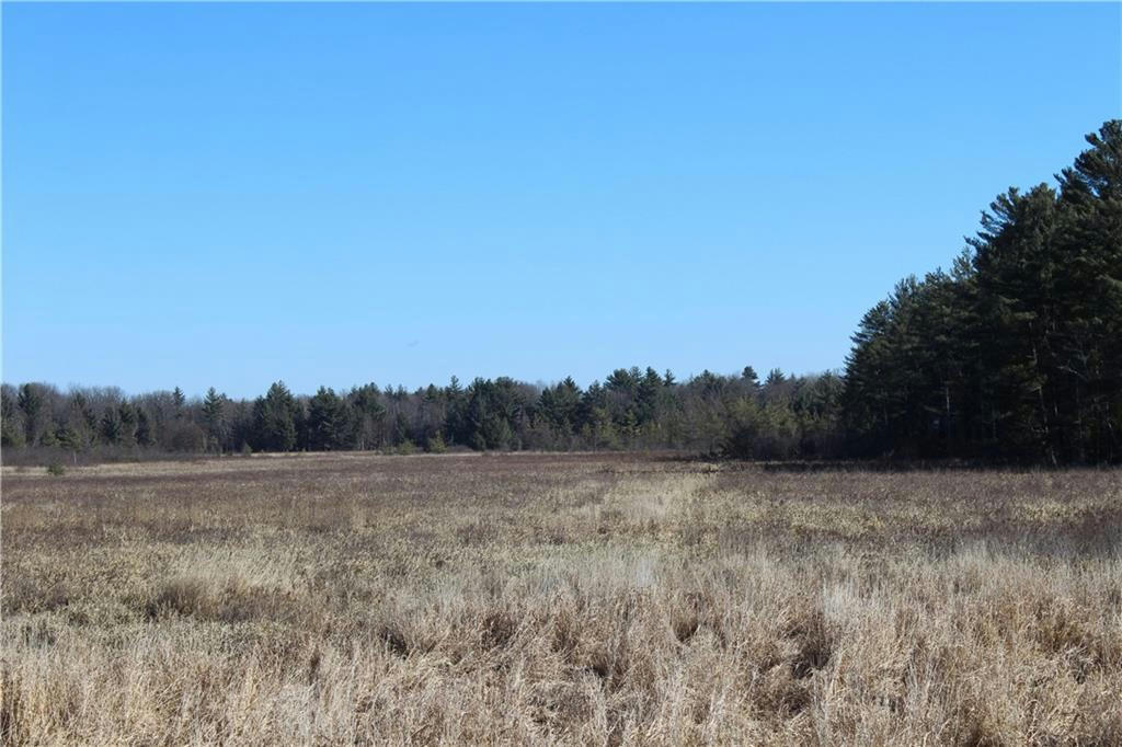 0 MAPLE ROAD - 20 ACRES, NEILLSVILLE, WI 54456, photo 1 of 13