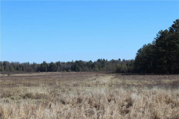 0 MAPLE ROAD - 20 ACRES, NEILLSVILLE, WI 54456 - Image 1