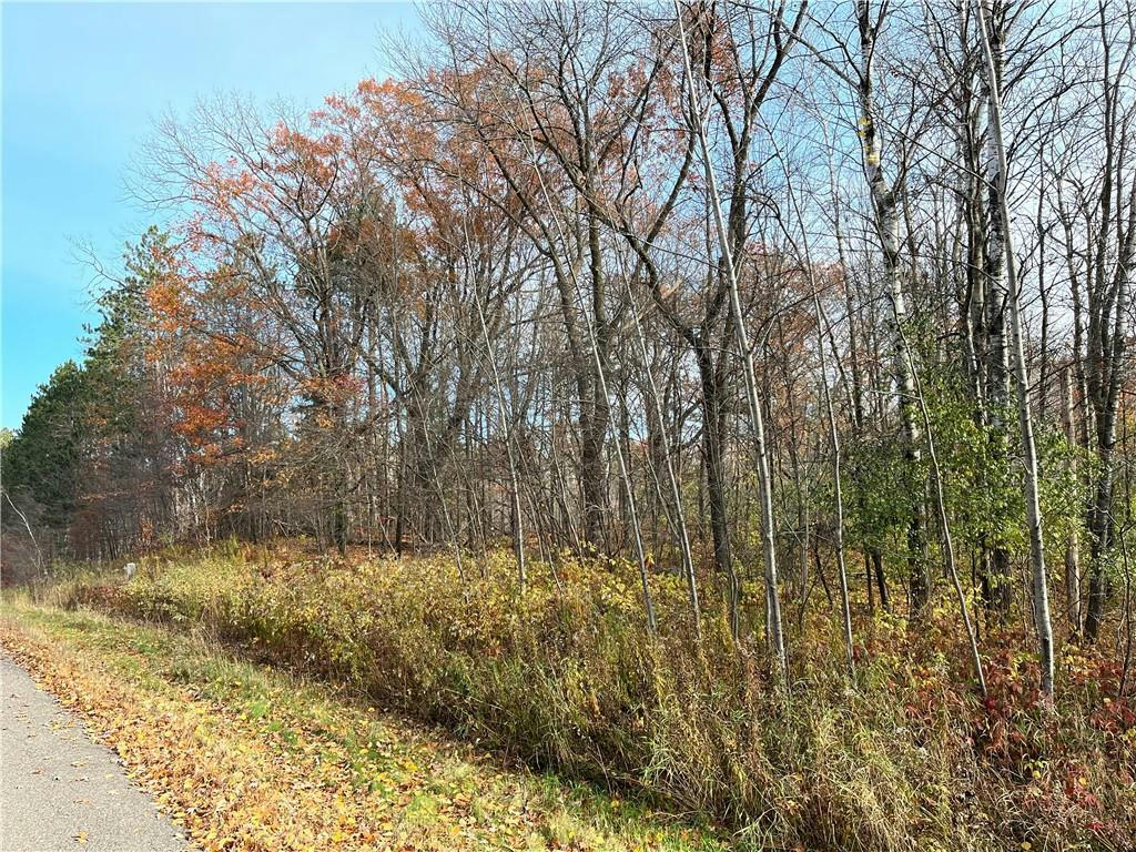 LOT 1 WILDERNESS HILLS LANE, LUCK, WI 54853, photo 1 of 18