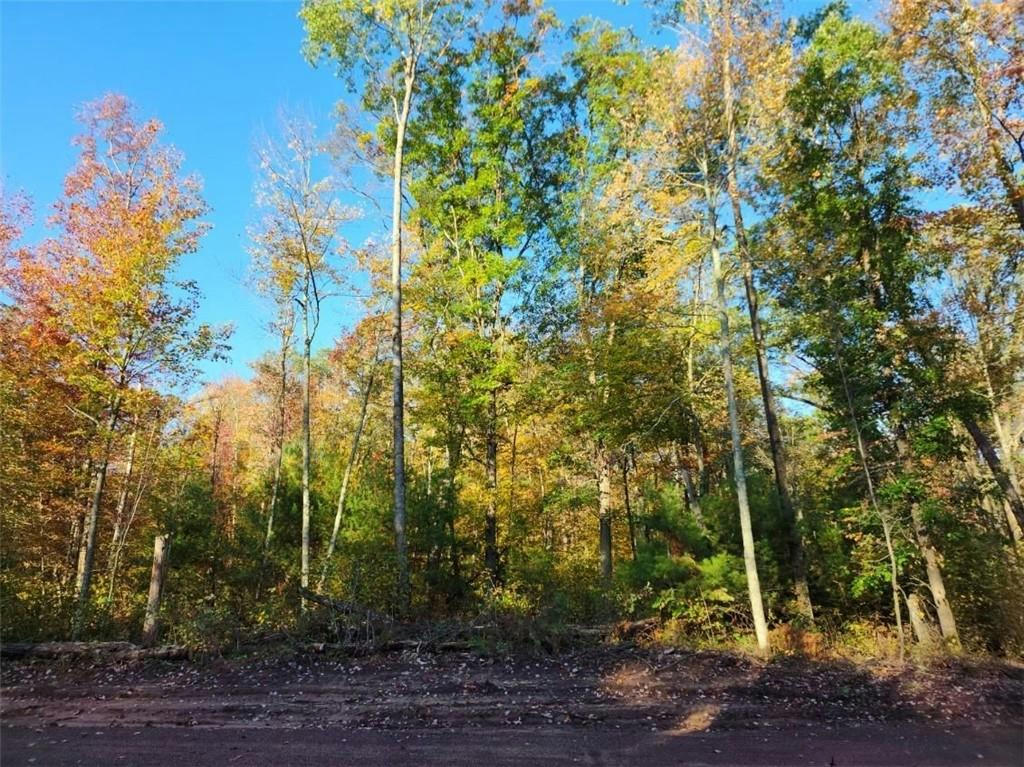 LOT 6 MARIA'S WAY, WEBSTER, WI 54893, photo 1 of 6