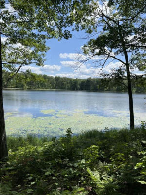 XXX CRESCENT SPRINGS TRAIL TRAIL, SHELL LAKE, WI 54871 - Image 1