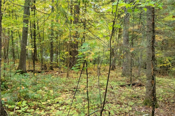 LOT 4 OAK RIDGE DRIVE, CABLE, WI 54821 - Image 1