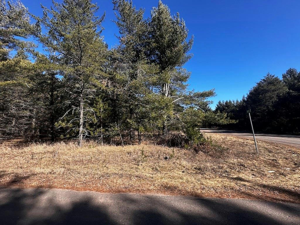 LOT 8 N RIVERSIDE ROAD, CABLE, WI 54821, photo 1 of 19