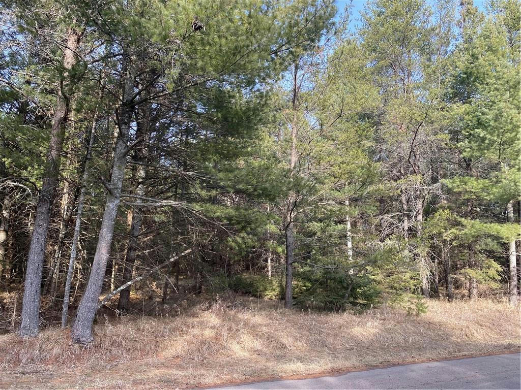 LOT 7 N RIVERSIDE ROAD, CABLE, WI 54821, photo 1 of 3