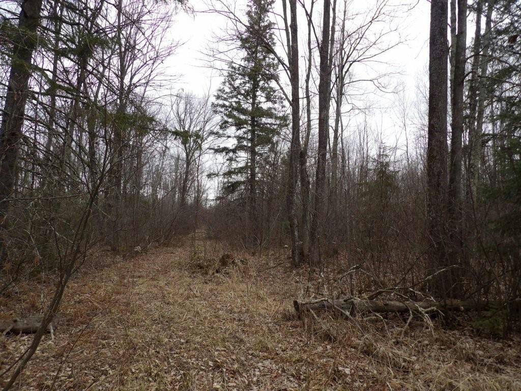 40+/- ACRES OFF WRIGHT ROAD, WINTER, WI 54896, photo 1 of 16