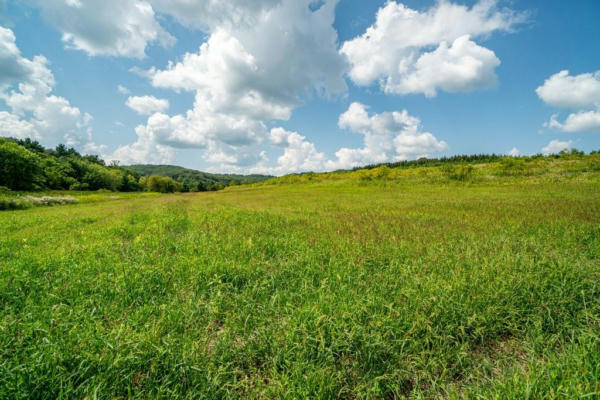 LOT 1 EIMON ROAD, HALE, WI 54758, photo 2 of 15