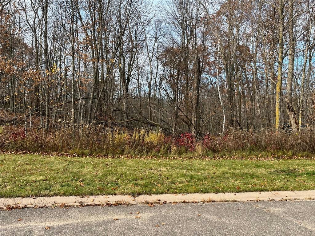 LOT 11 WILDERNESS HILLS LANE, LUCK, WI 54853, photo 1 of 16