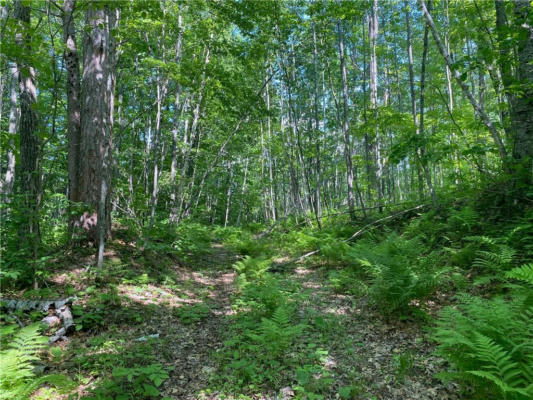LOT 7 SECLUDED TRAIL, HAYWARD, WI 54843 - Image 1