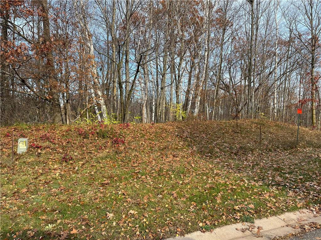 LOT 8 WILDERNESS HILLS LANE, LUCK, WI 54853, photo 1 of 16
