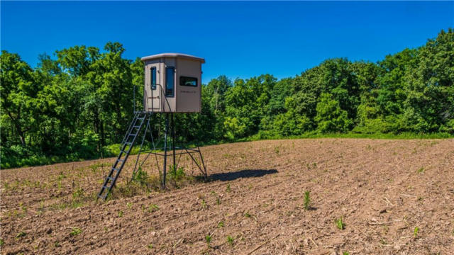 TBD OAK GROVE RIDGE ROAD, EASTMAN, WI 54626, photo 2 of 16