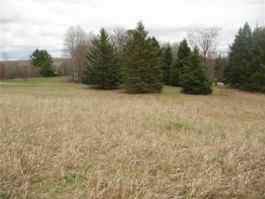 LOT 3 ON RIVER RD N, PARK FALLS, WI 54552, photo 2 of 6