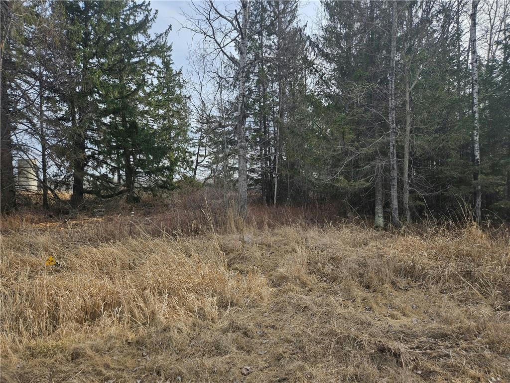 000 COUNTY RD. D, JUMP RIVER, WI 54433, photo 1 of 3