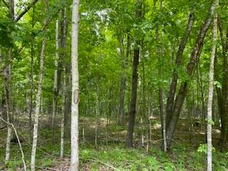 LOT 5 KERRY DRIVE, BIRCHWOOD, WI 54817 - Image 1