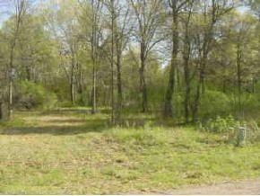 LOT 3 9TH AVE, CHETEK, WI 54728, photo 1