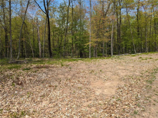 LOT 4 PETERSON TRAIL, SPOONER, WI 54801, photo 3 of 12