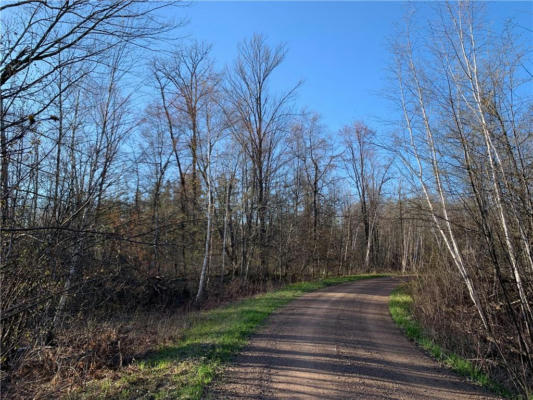 LOT 1 BEAR PAW ROAD, BRUCE, WI 54819, photo 3 of 6