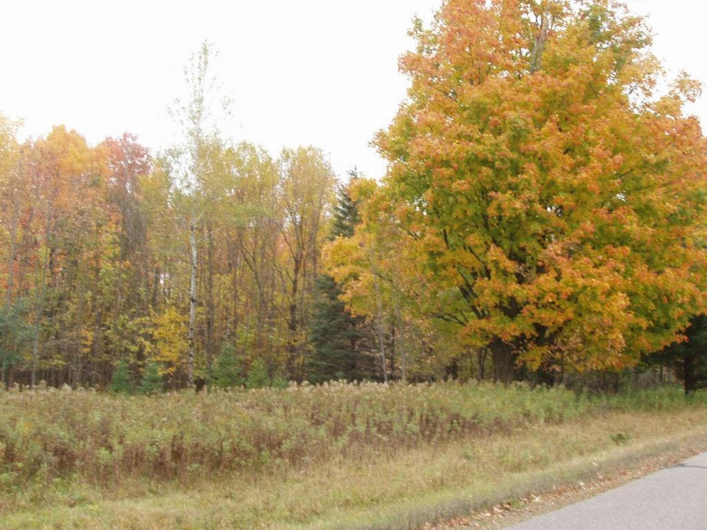 LOT 4 MARGARET LANE, PARK FALLS, WI 54552, photo 1