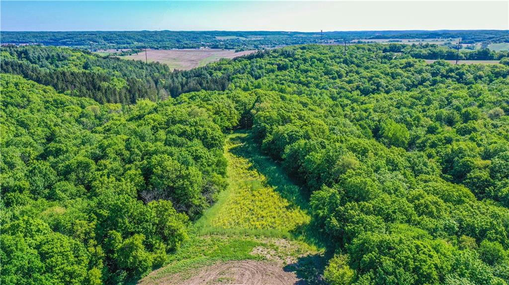 TBD WALL LANE, BLAIR, WI 54616, photo 1 of 34