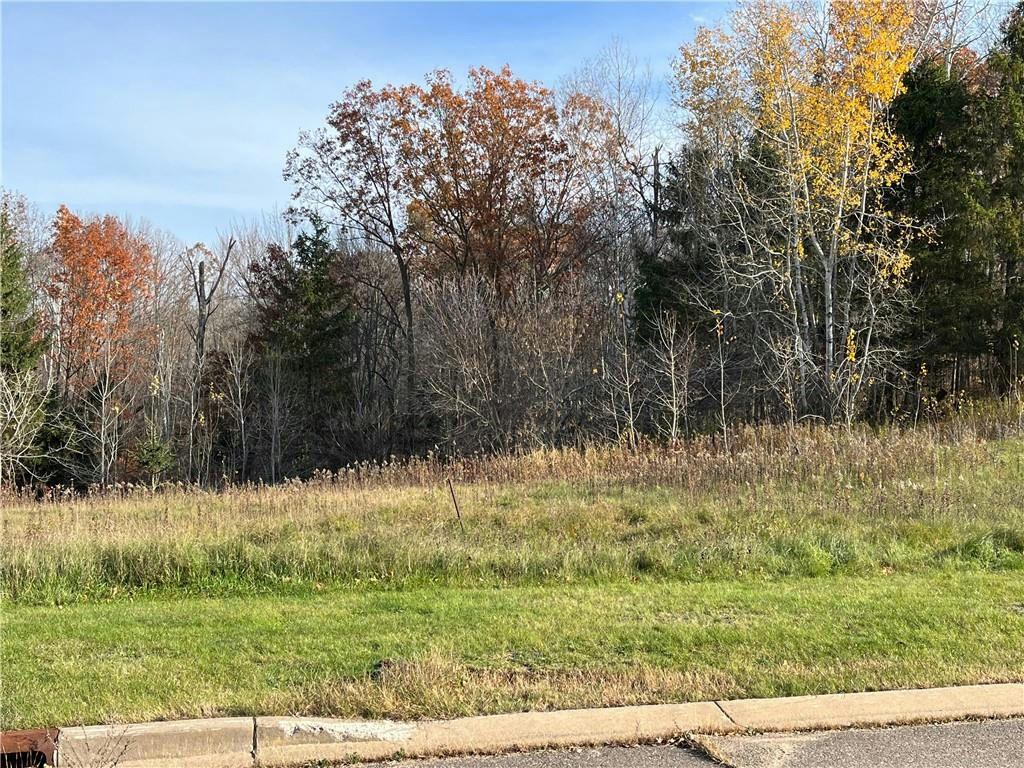 LOT 6 WILDERNESS HILLS LANE, LUCK, WI 54853, photo 1 of 18