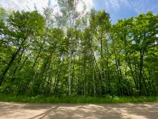 LOT 2 KERRY DRIVE, BIRCHWOOD, WI 54817 - Image 1