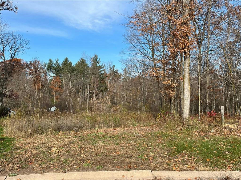 LOT 14 WILDERNESS HILLS LANE, LUCK, WI 54853, photo 1 of 16